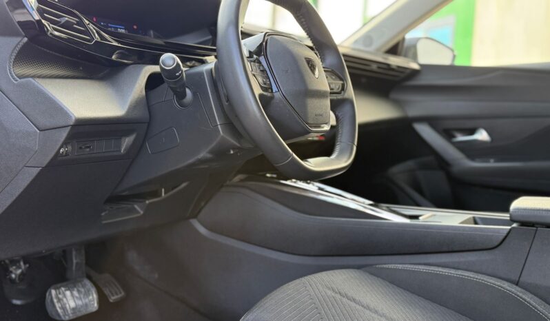 
								PEUGEOT 308 SW ACTIVE PACK BLUEHDI lleno									