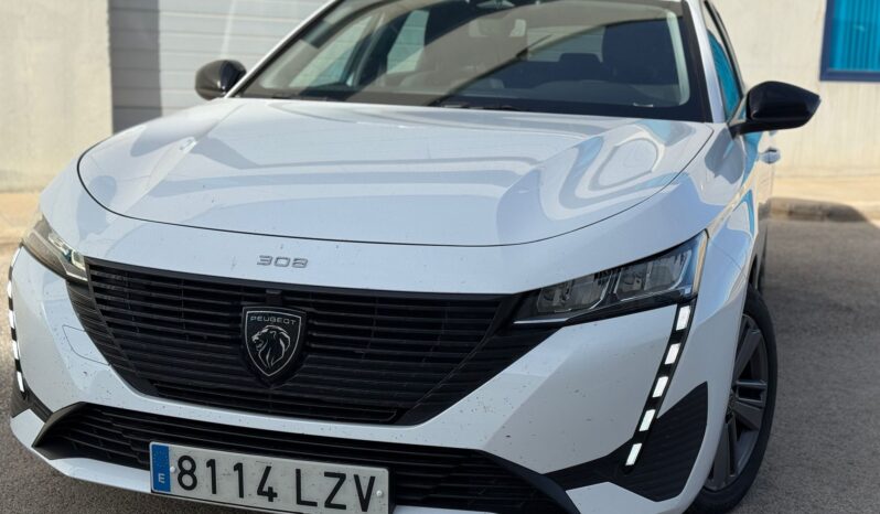 
								PEUGEOT 308 SW ACTIVE PACK BLUEHDI lleno									